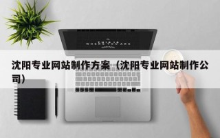 铁岭沈阳专业网站制作方案（沈阳专业网站制作公司）